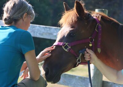 dr lori millis patient with hand on white horses nose for equine thereapy