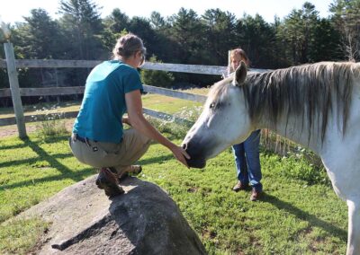 patient working on equine therapy with white horse and dr lori millis