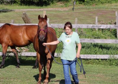 dr lori millis leading brown horse for equine therapy session